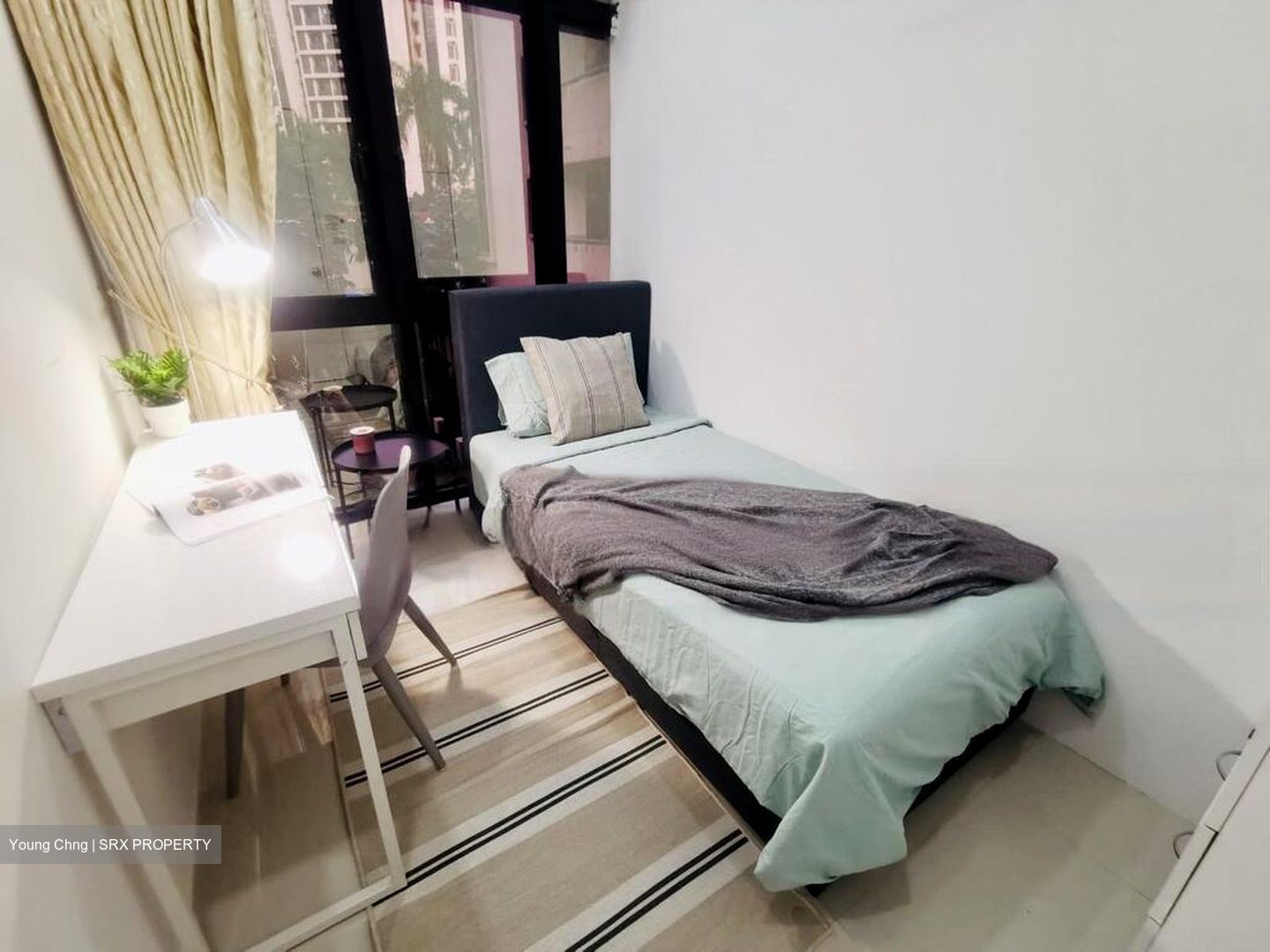 Dover Parkview (D5), Condominium #464158481